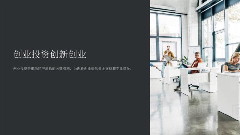 项目投资智慧之光：深度剖析成功案例